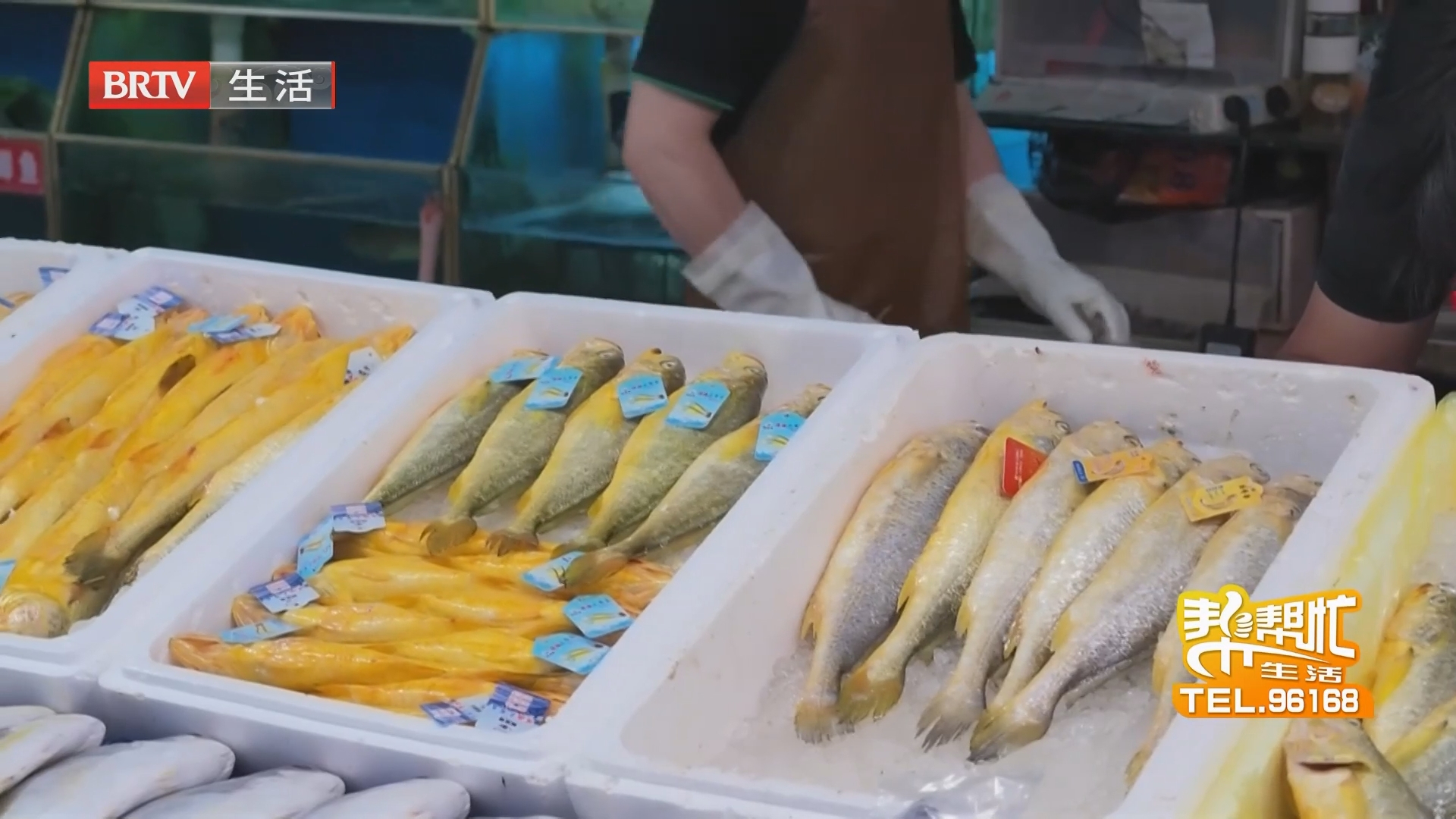 记者走市场 明辨真伪巧选黄花鱼