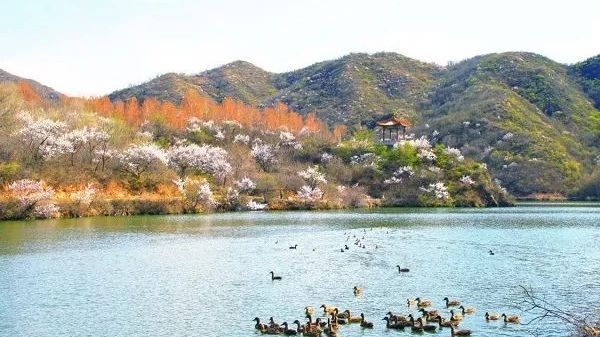 游在延庆 | 山桃花下吃火勺，神仙日子不过如此～