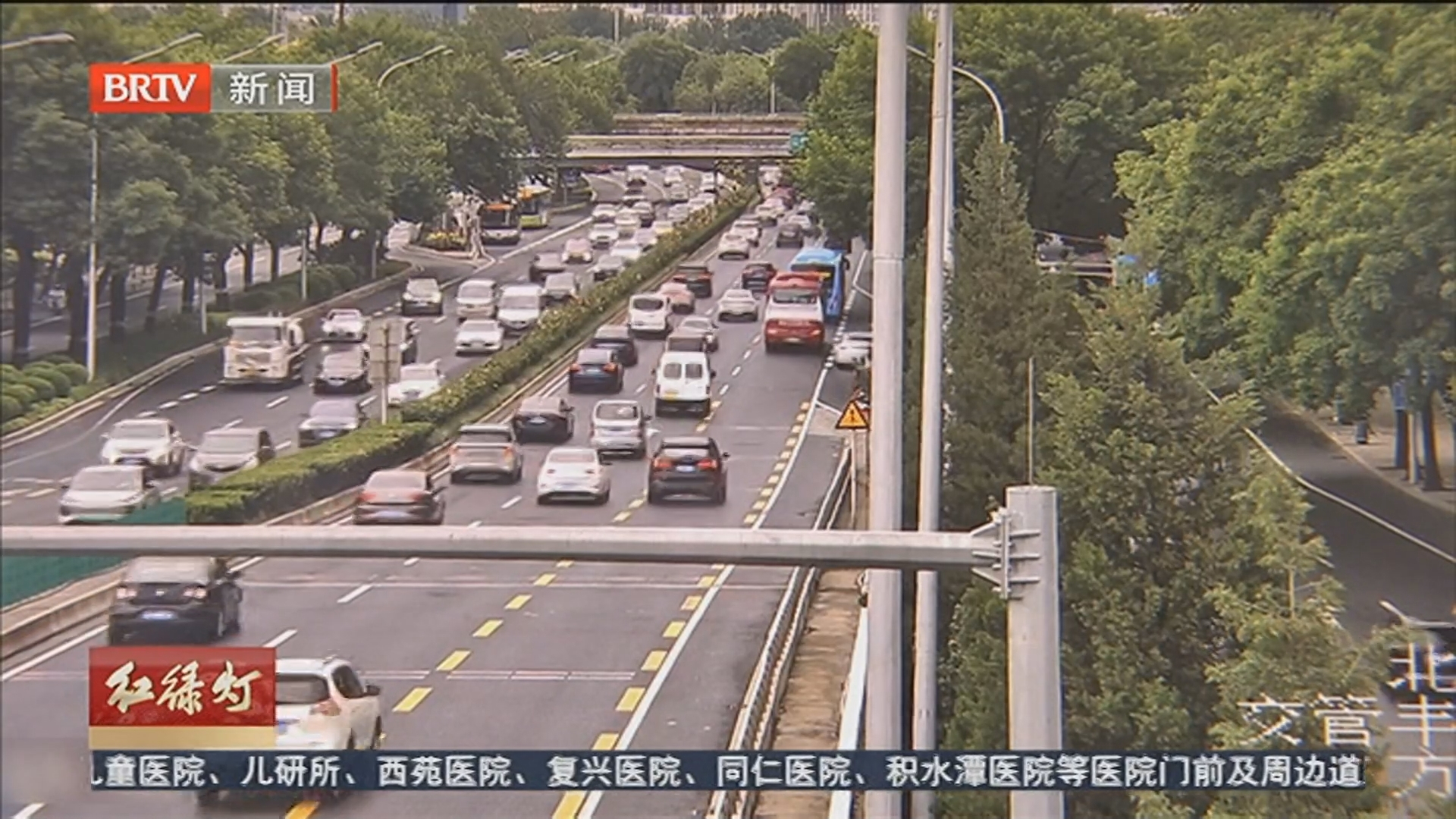 公共视频 赵薇 20260526