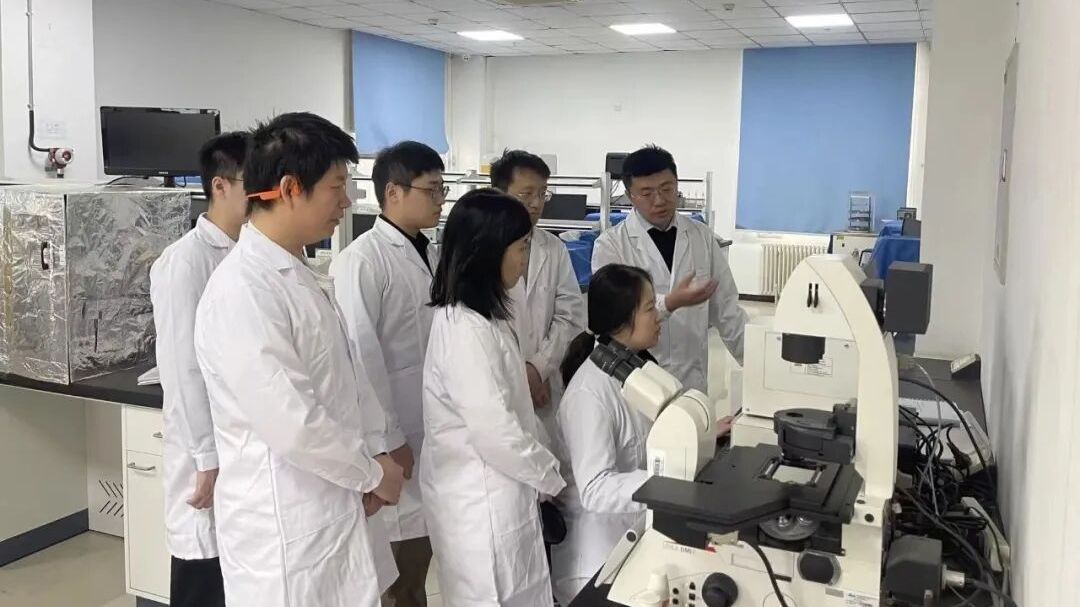 国科大师生聚力开启新学期科研新旅程 国科大师生聚力开启新学期科研新旅程