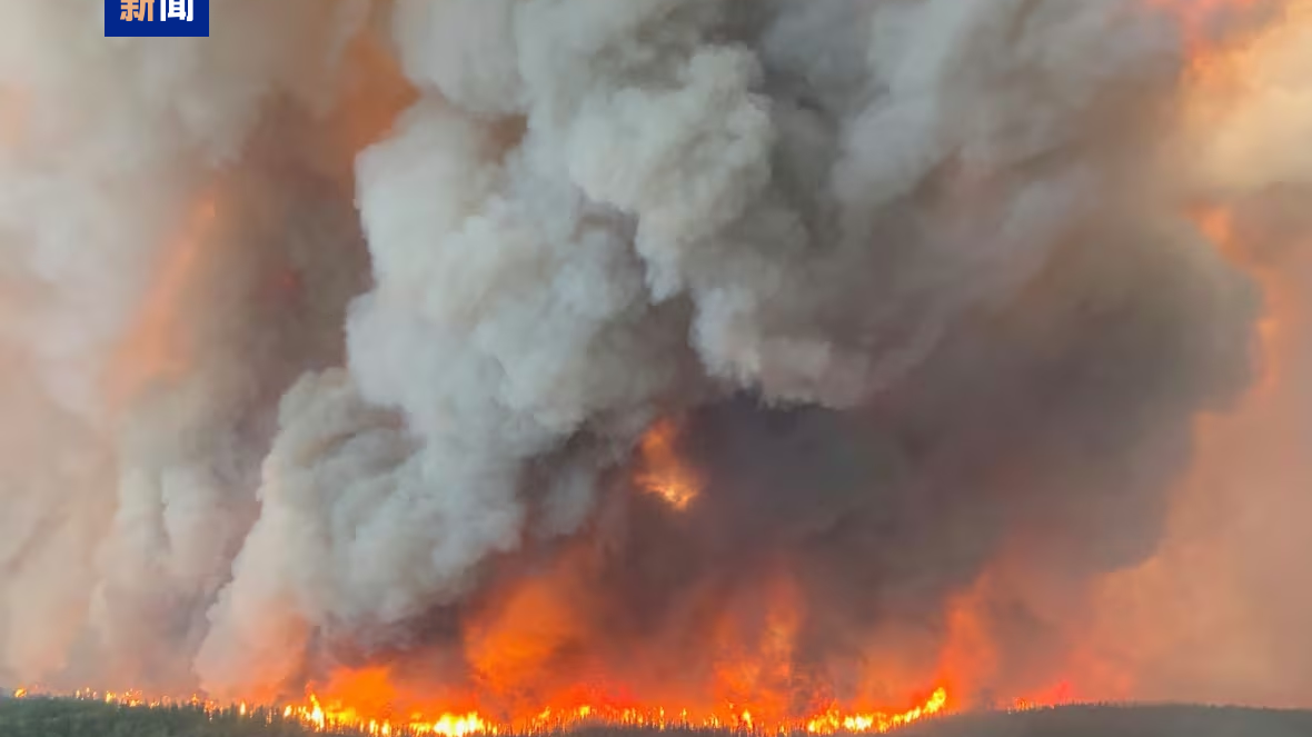 加拿大野火肆虐 过火面积超7.3万平方公里