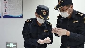 塑料管藏蚂蚁？上海海关查获“异宠”野蛮收获蚁979只