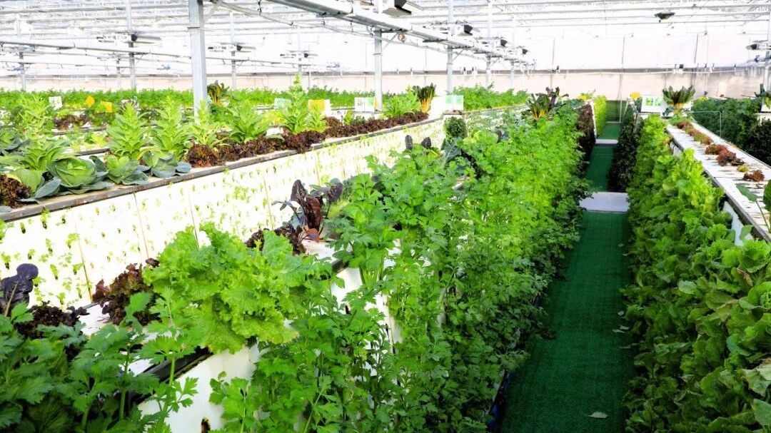 北京房山：这活还能这么干？比开空调还简单！