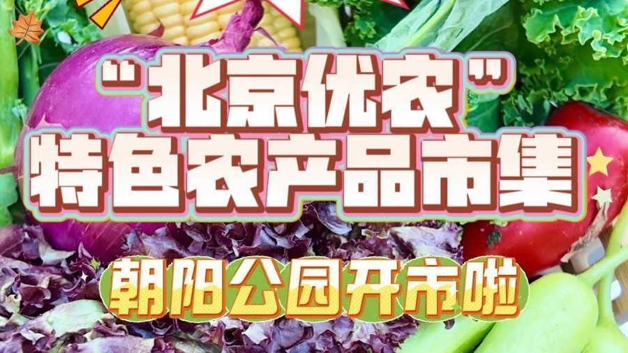 周末公园遛个弯,把“小时级鲜度”带回家 周末公园遛个弯,把“小时级鲜度”带回家