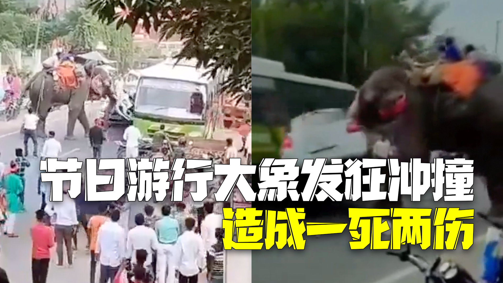 印度节日游行大象突然发狂冲撞长达两小时，造成一死两伤