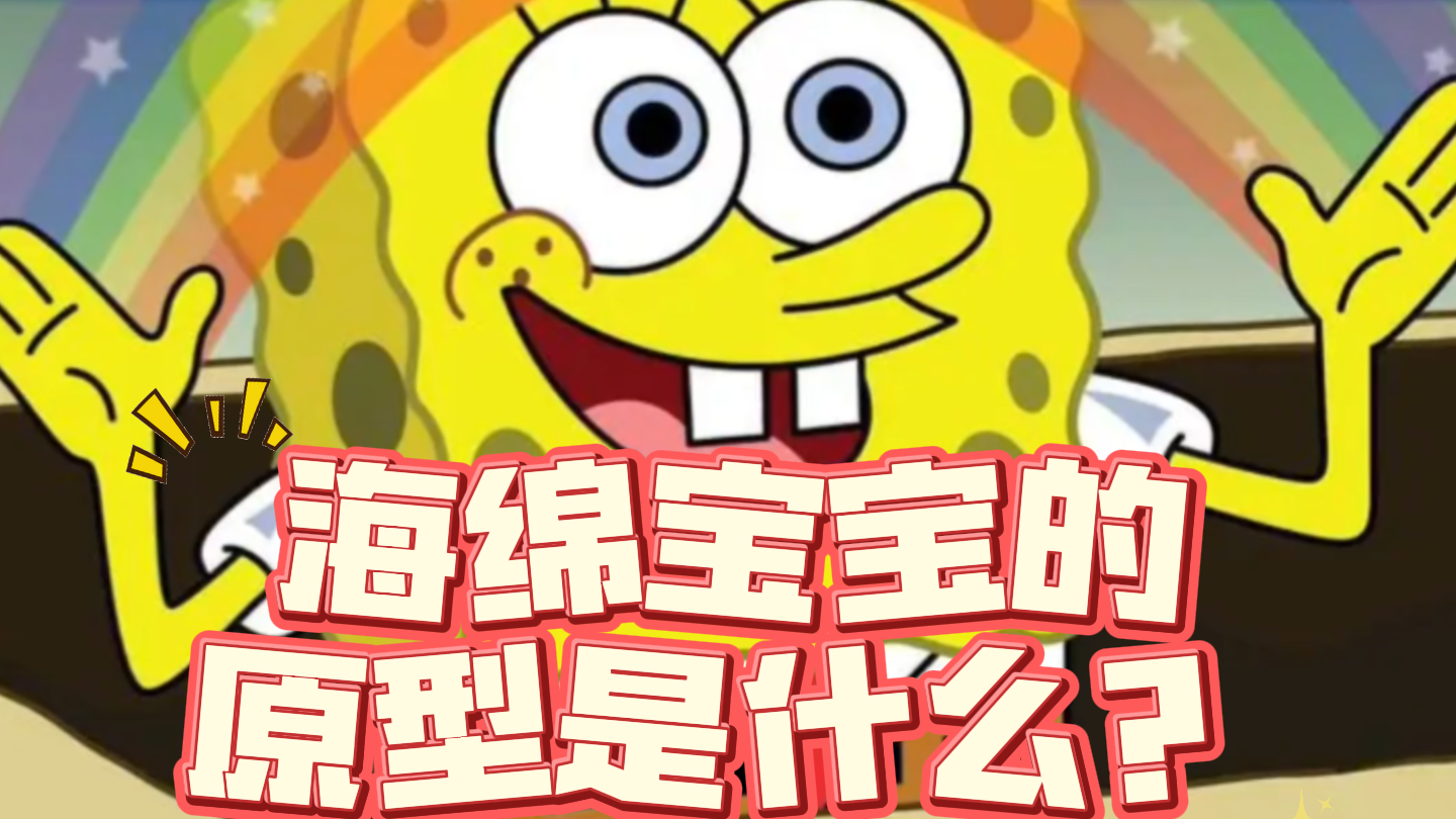 动漫冷知识——海绵宝宝的原型是什么？