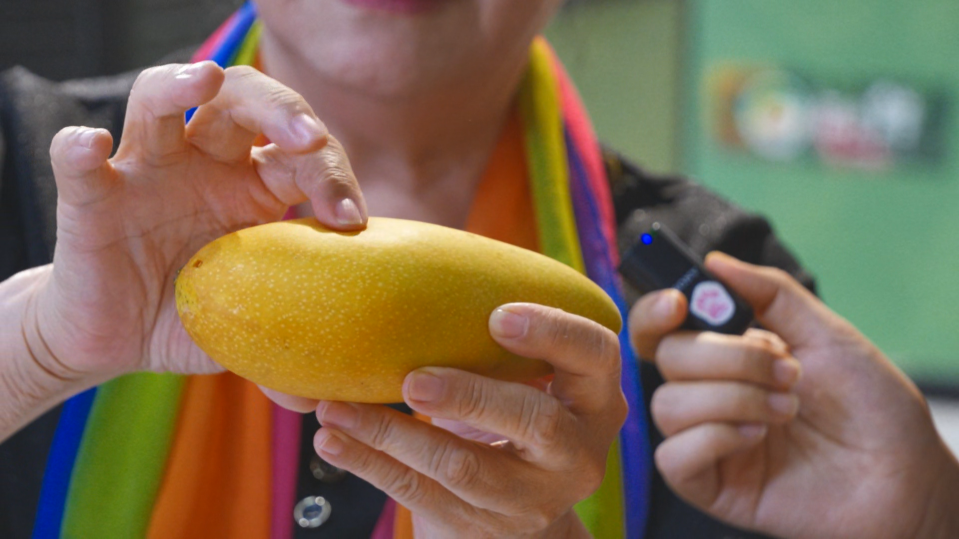 一闻二捏挑芒果 表皮有黑点“豹纹芒果”可以放心吃 一闻二捏挑芒果 表皮有黑点“豹纹芒果”可以放心吃