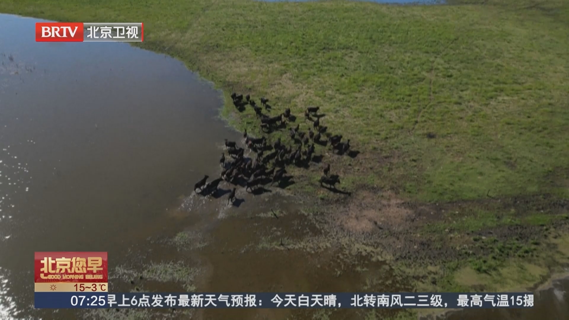 阿根廷潘帕斯草原遭遇洪涝灾害 基础设施短板凸显 阿根廷潘帕斯草原遭遇洪涝灾害 基础设施短板凸显
