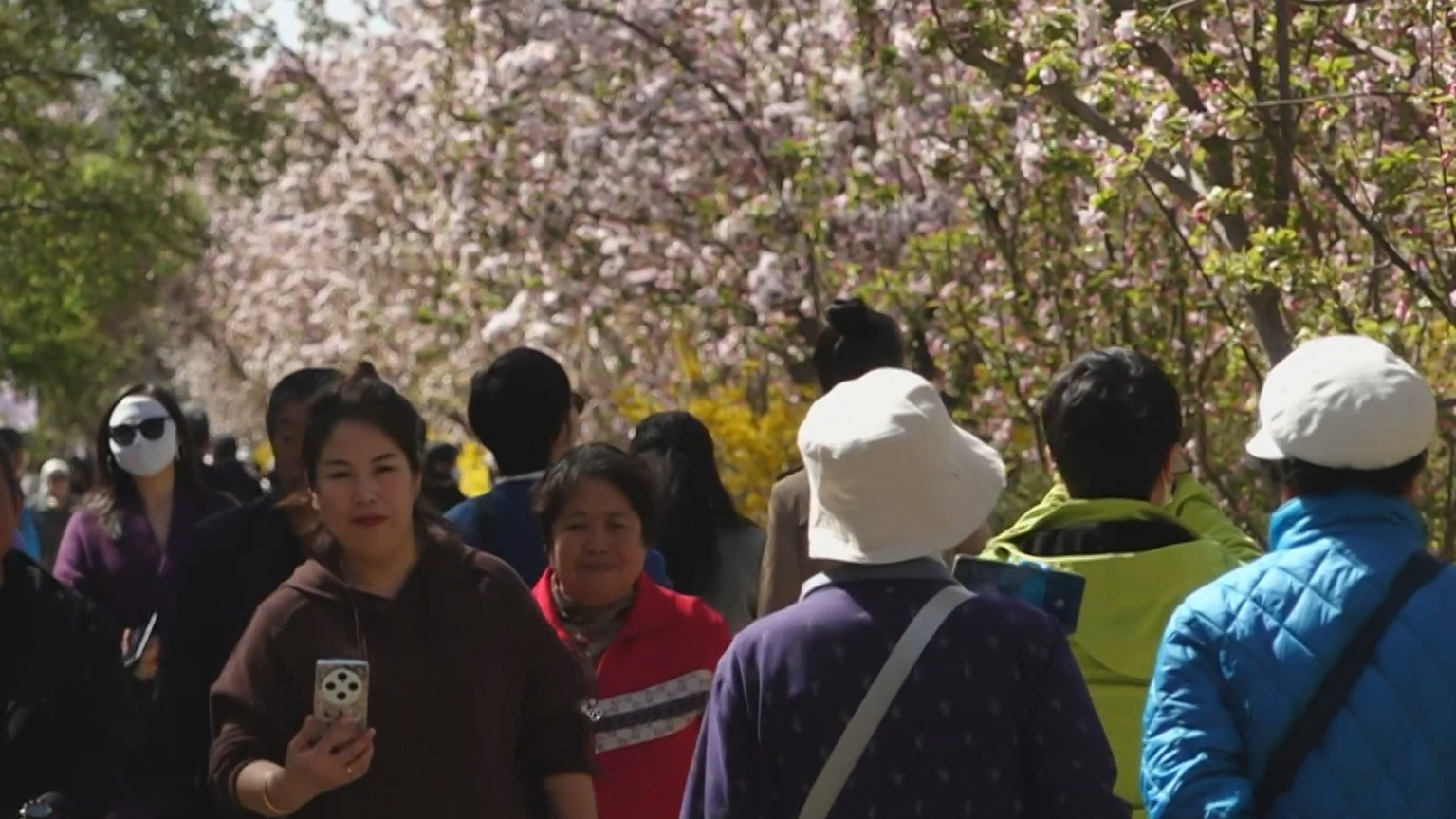 抚今追昔 踏青赏花 清明假期前两天首都公园迎客382万人次 抚今追昔 踏青赏花 清明假期前两天首都公园迎客382万人次