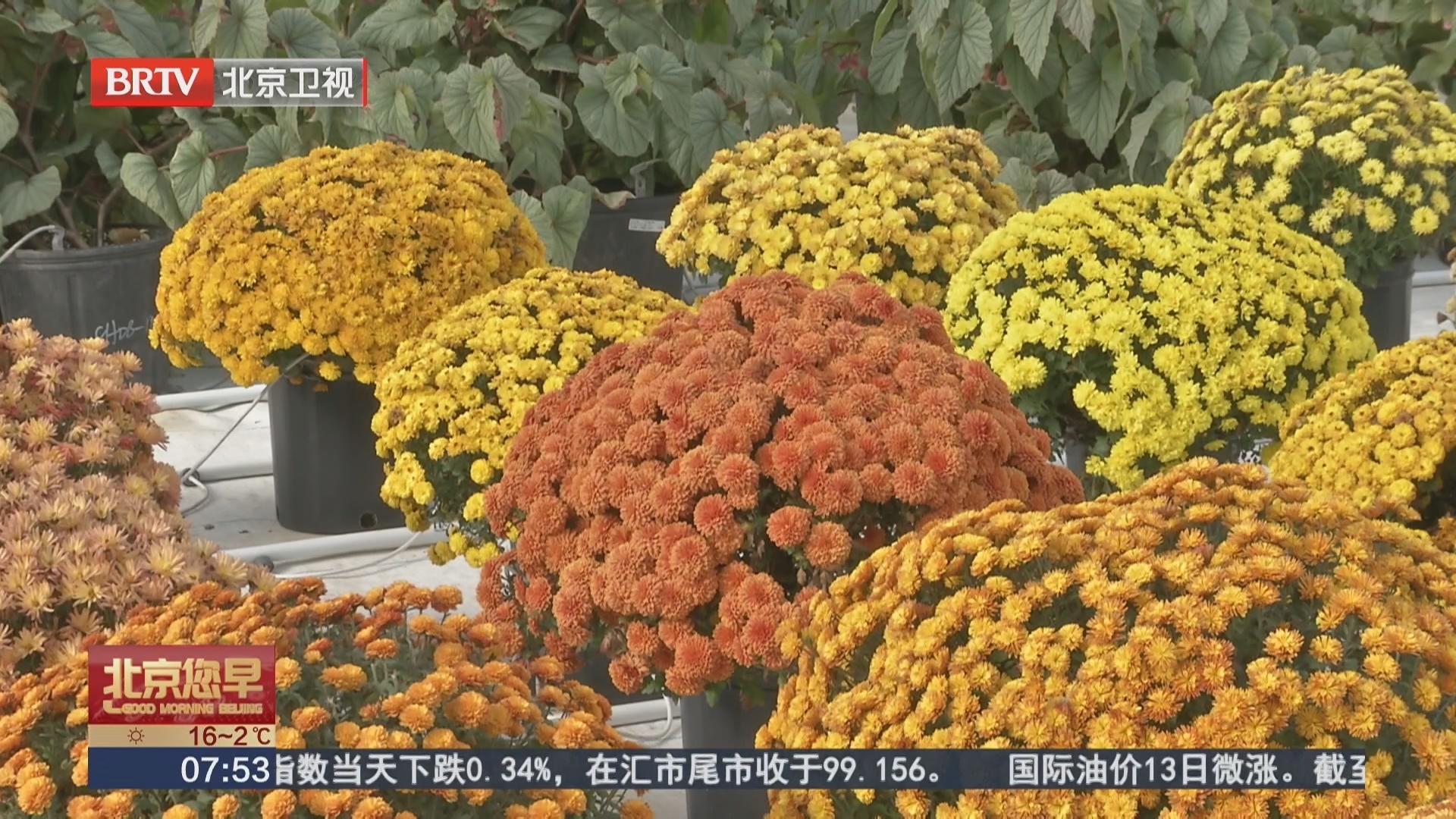 北京城建园林集团重大活动服务保障基地研发成果丰硕