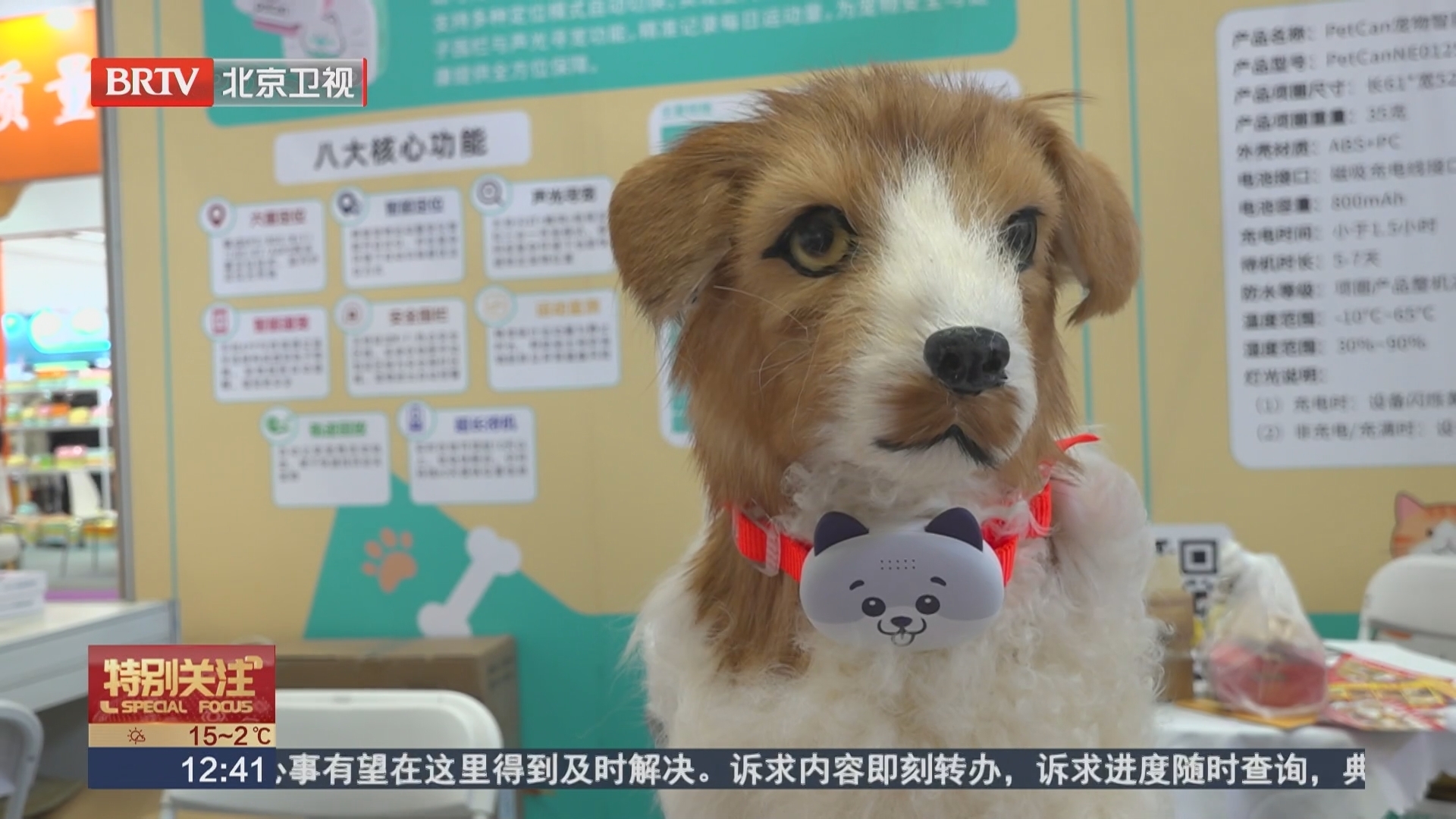 第13届京宠展开幕 解锁宠业新未来