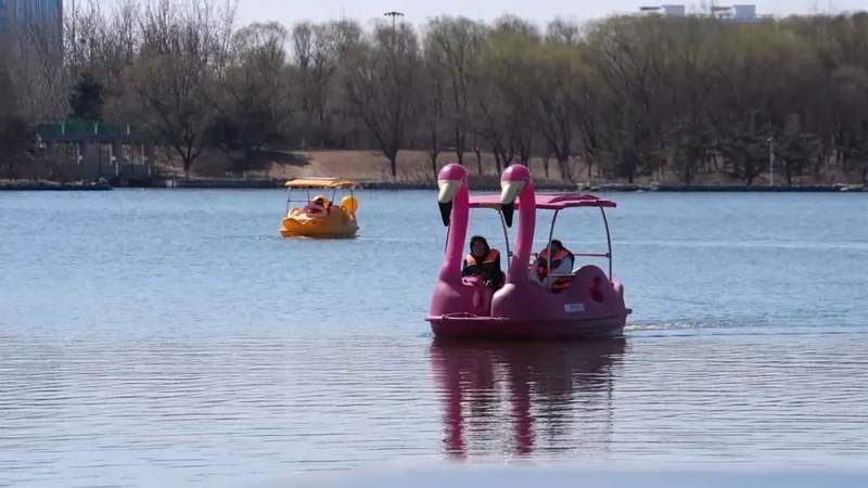 开航啦!周末带孩子一起来念坛公园划船啦~~ 开航啦!周末带孩子一起来念坛公园划船啦~~