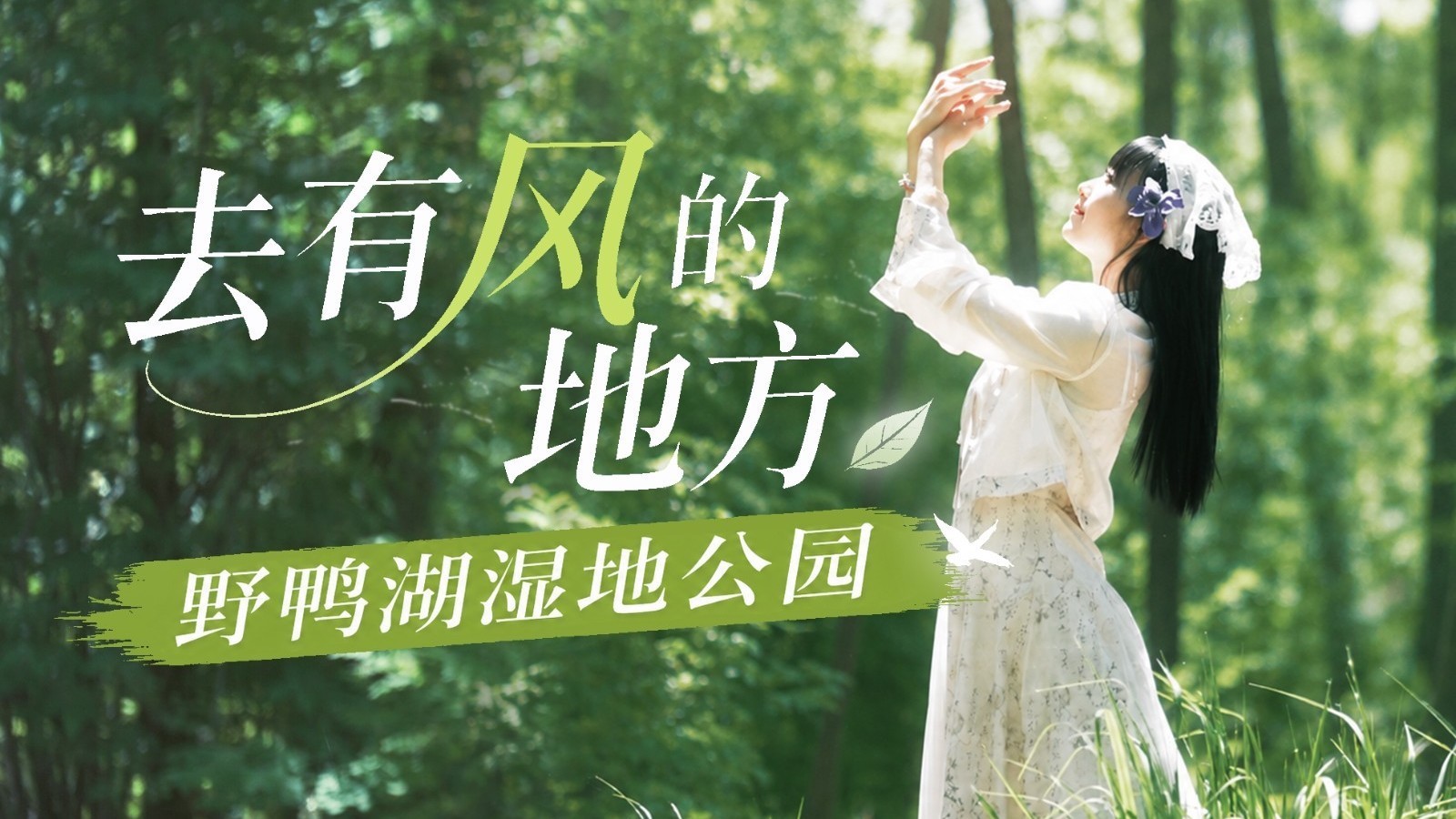 盛夏来野鸭湖湿地公园 收集所有温柔的风