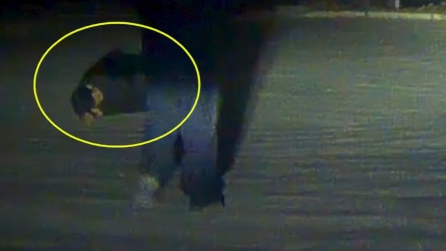 喝多少?!男子醉驾躺路上大睡:“我都不知道在哪儿喝醉的” 喝多少?!男子醉驾躺路上大睡:“我都不知道在哪儿喝醉的”