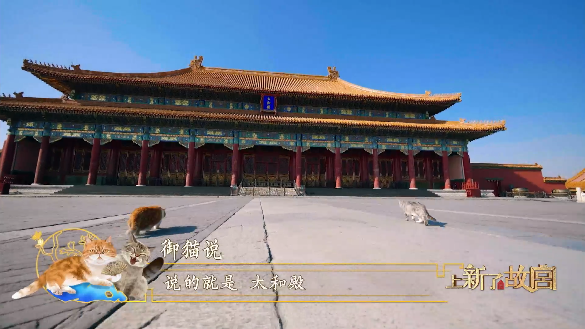 “金瓦金銮殿“是紫禁城里的哪座宫殿？