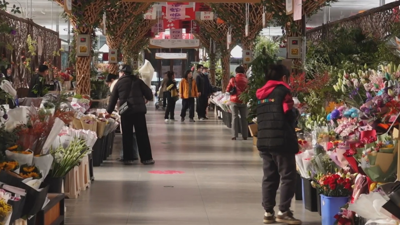 2025北京家庭园艺嘉年华启动  2000余万盆年宵花12月30日起上市