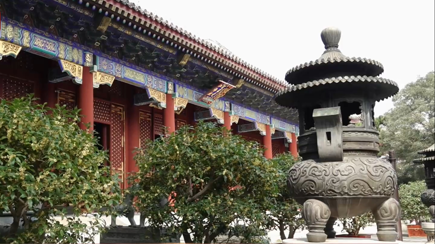 我们的节日·中秋节丨丹桂飘香 乐音绕梁  北京今迎中秋游园高峰
