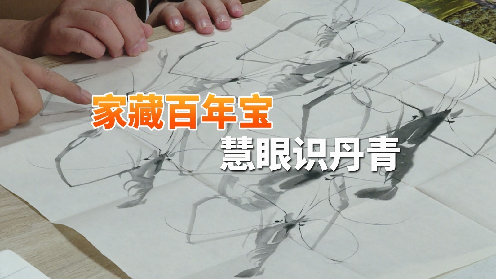 家藏百年宝 慧眼识丹青