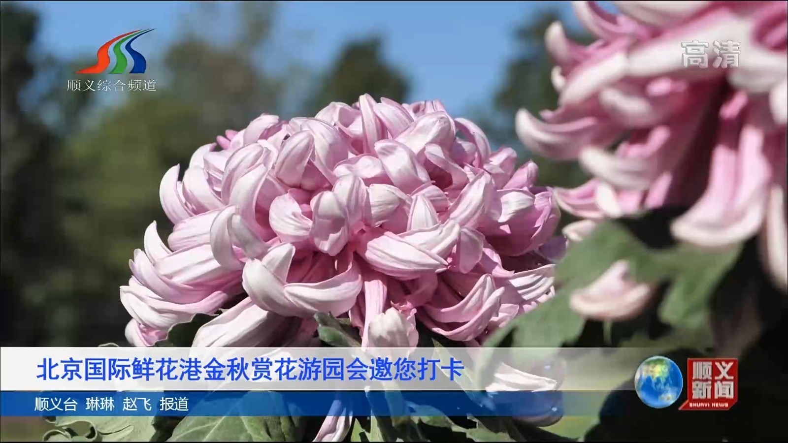 北京国际鲜花港金秋赏花游园会邀您打卡