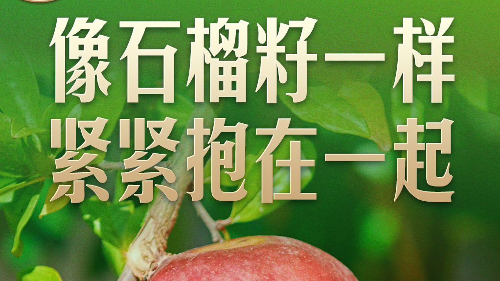 习言道｜“石榴籽”之喻，有了坚实的法治保障