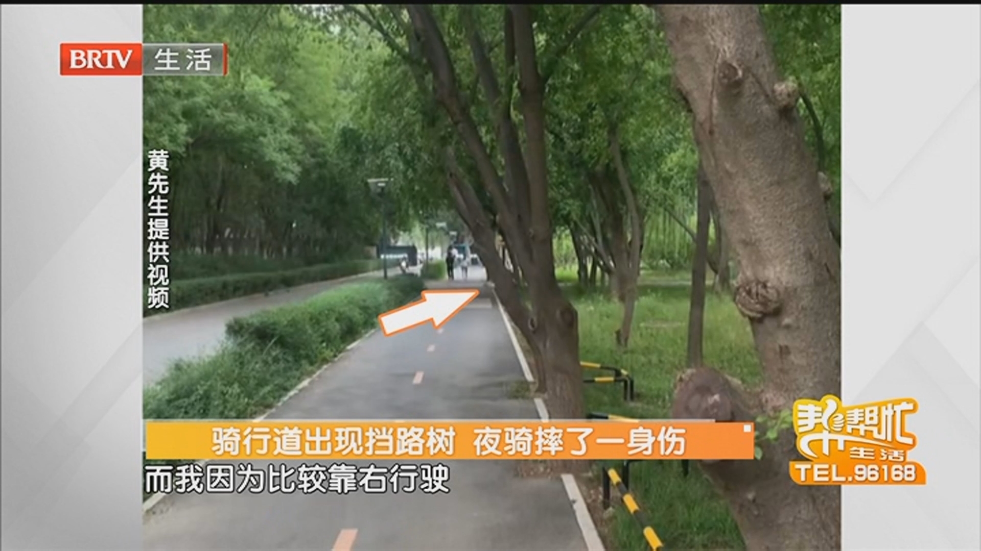 骑行道出现挡路树 夜骑摔了一身伤