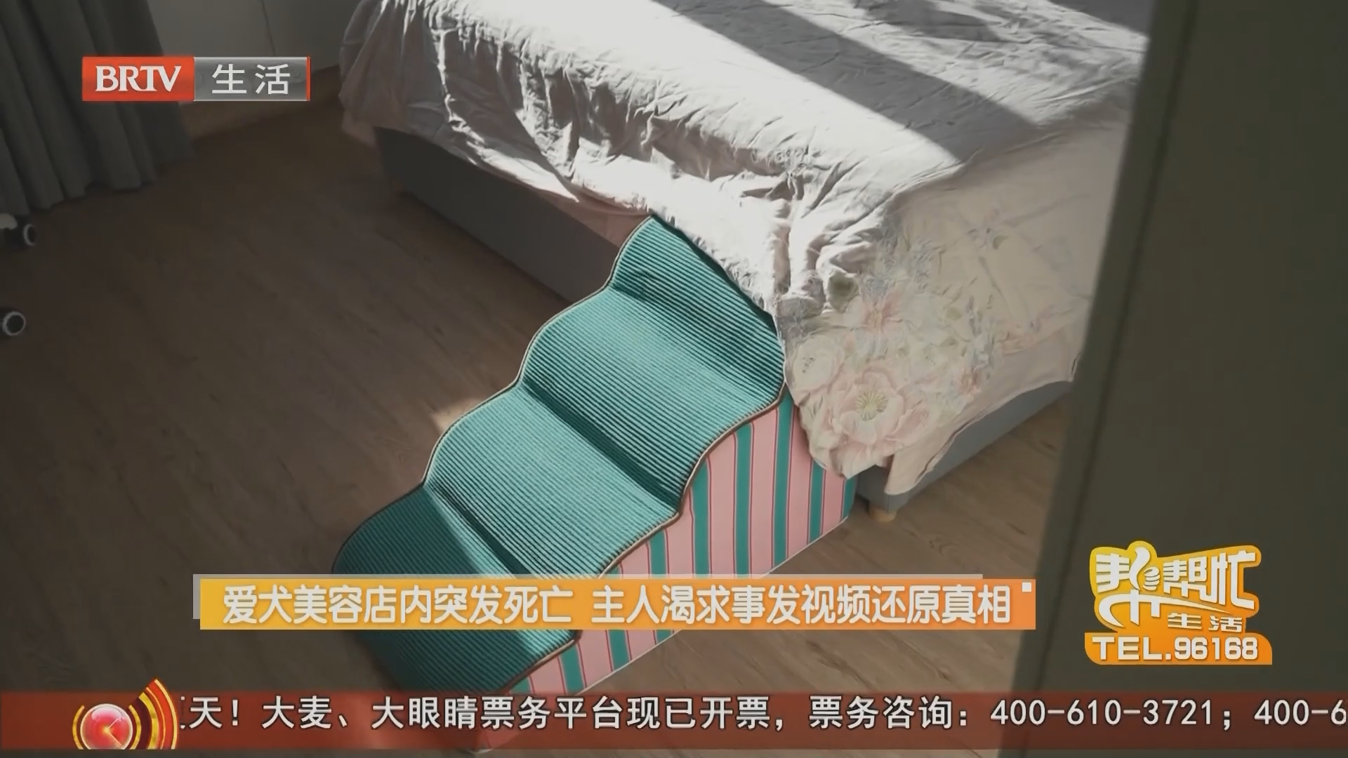 爱犬美容店内突发死亡 主人渴求事发视频还原真相（三）