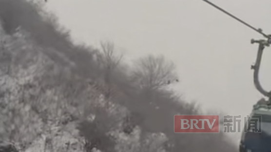 忽如一夜春风来，雪落长城美如画