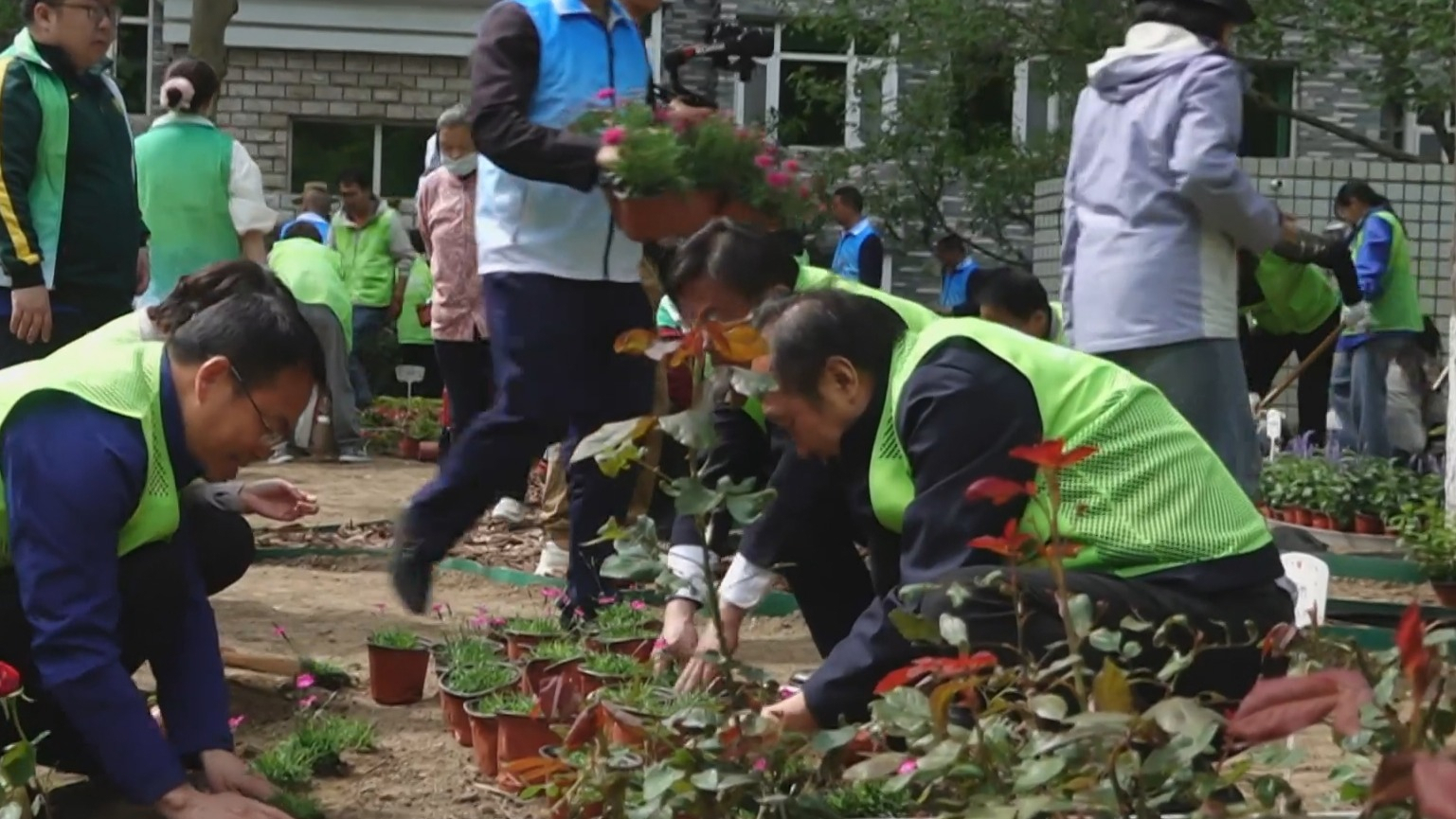 全市启动建设100个社区微花园