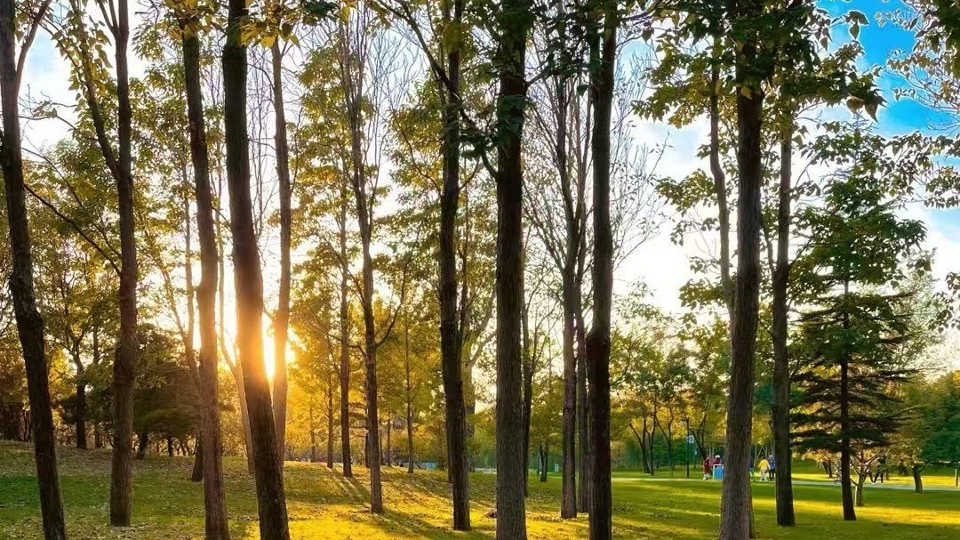今天白天以晴为主气温回升,最高气温23℃,蓝天上线宜出行 今天白天以晴为主气温回升,最高气温23℃,蓝天上线宜出行