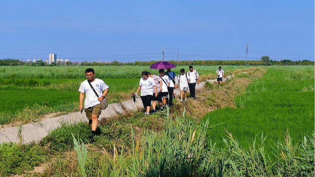 这里,让大学生看到了乡村振兴的无限可能 这里,让大学生看到了乡村振兴的无限可能