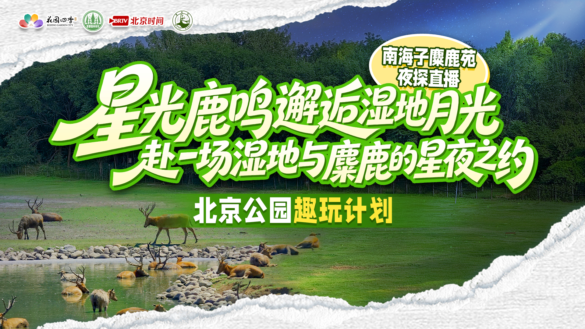 星光鹿鸣邂逅湿地月光,赴一场湿地与麋鹿的星夜之约——南海子麋鹿苑夜探直播 星光鹿鸣邂逅湿地月光,赴一场湿地与麋鹿的星夜之约——南海子麋鹿苑夜探直播