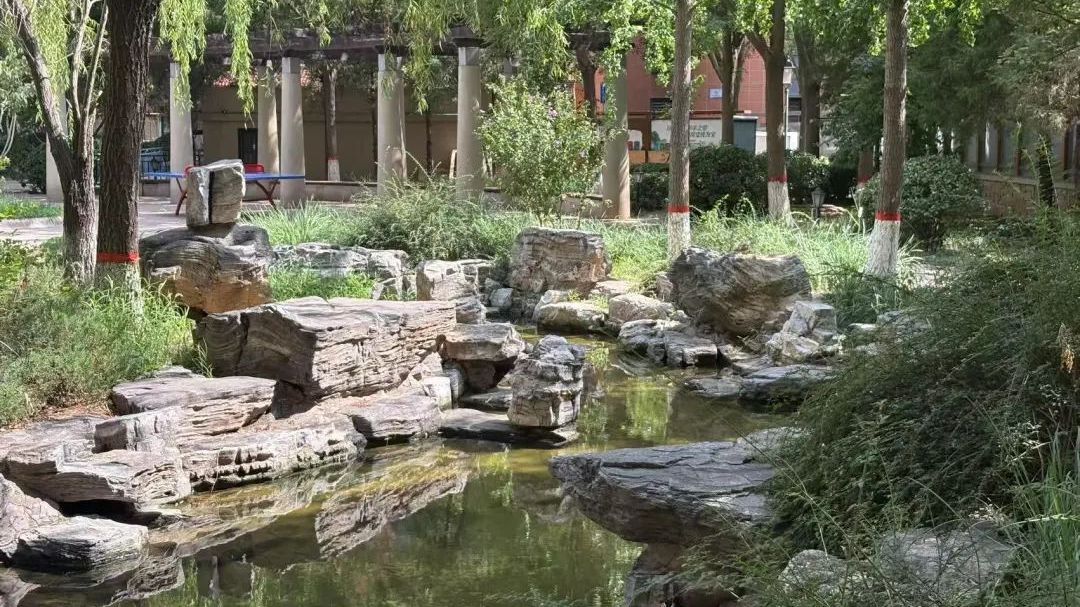 以水为邻 景美人和 大兴区清源街道红木林小区打造生态宜居美好画卷 以水为邻 景美人和 大兴区清源街道红木林小区打造生态宜居美好画卷