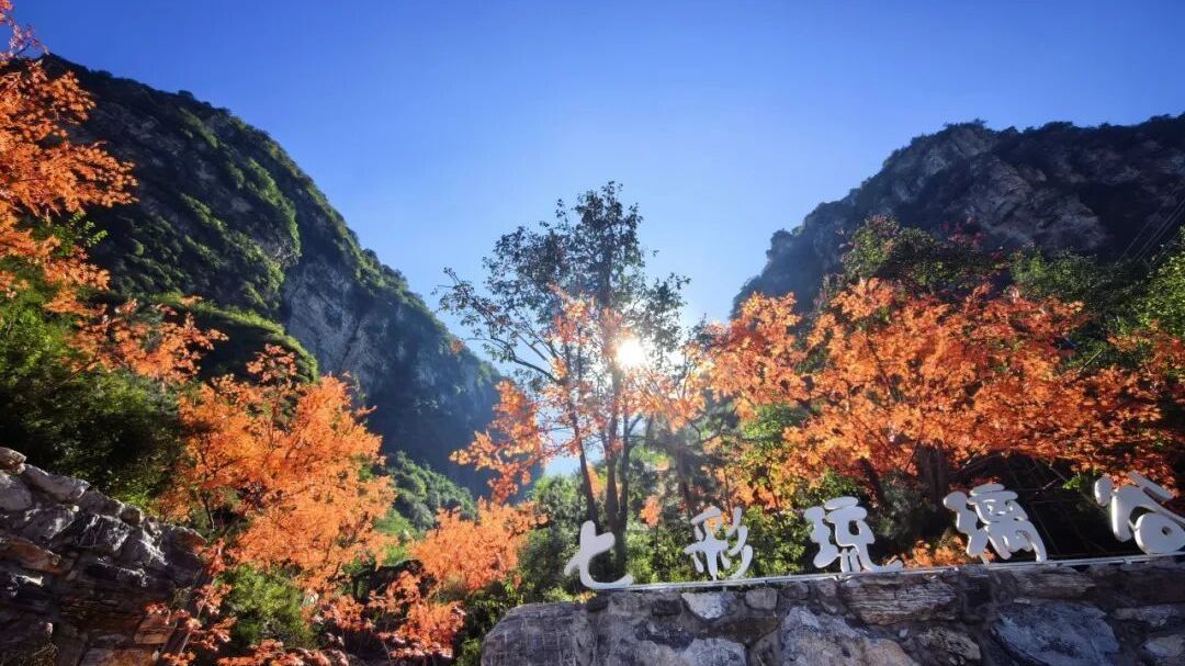 一码惠游之南线!凭这一码,景区、民宿、餐饮全线享优惠 一码惠游之南线!凭这一码,景区、民宿、餐饮全线享优惠