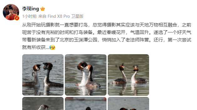 演员李现入伙公园“打鸟”大爷!本人回应 演员李现入伙公园“打鸟”大爷!本人回应