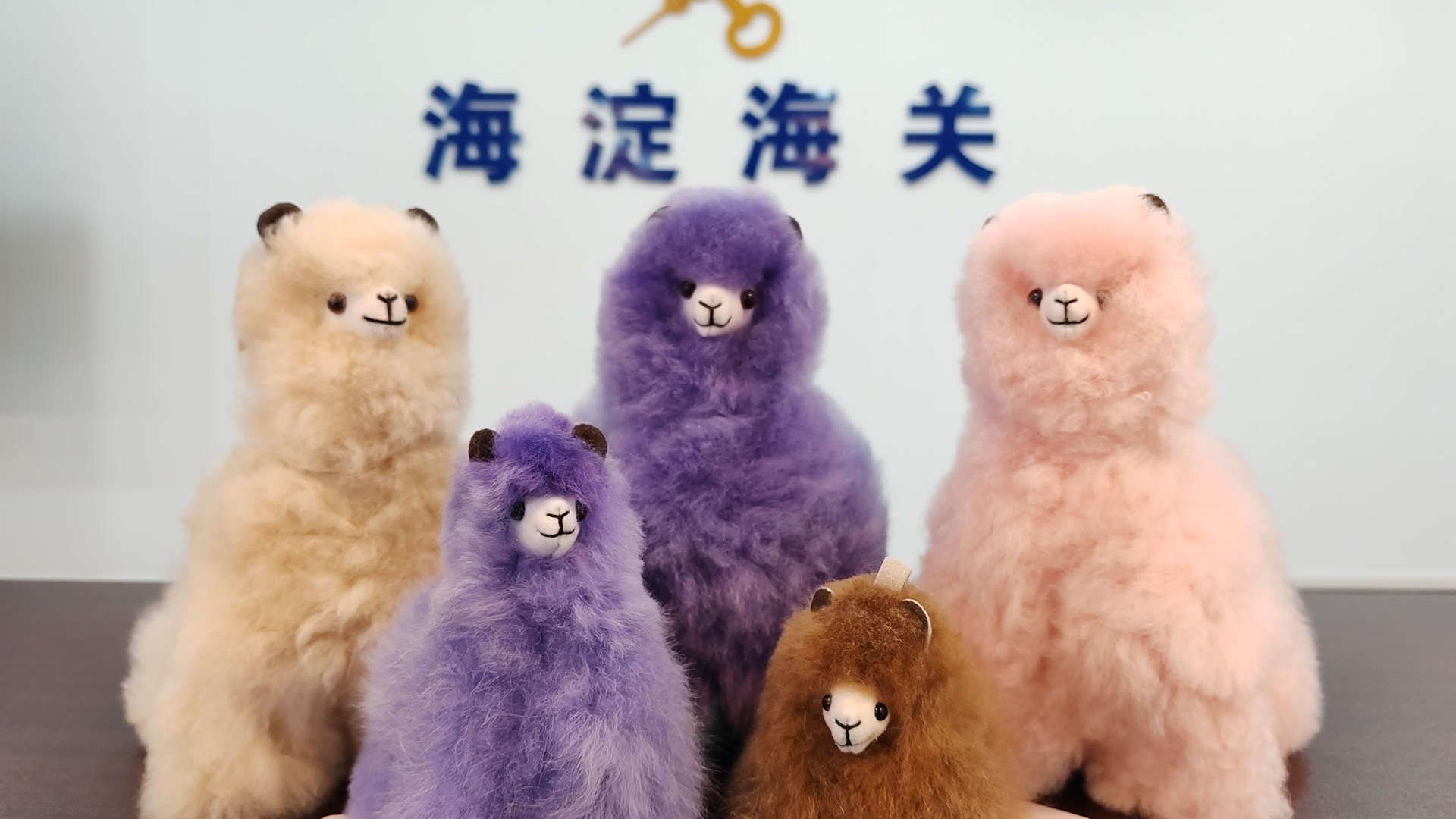 “增塑剂”超标200多倍!北京海关查获367件羊驼毛玩偶 “增塑剂”超标200多倍!北京海关查获367件羊驼毛玩偶