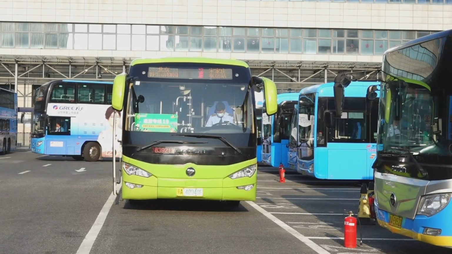 北京公交新开通游专线19直达北京野生动物园