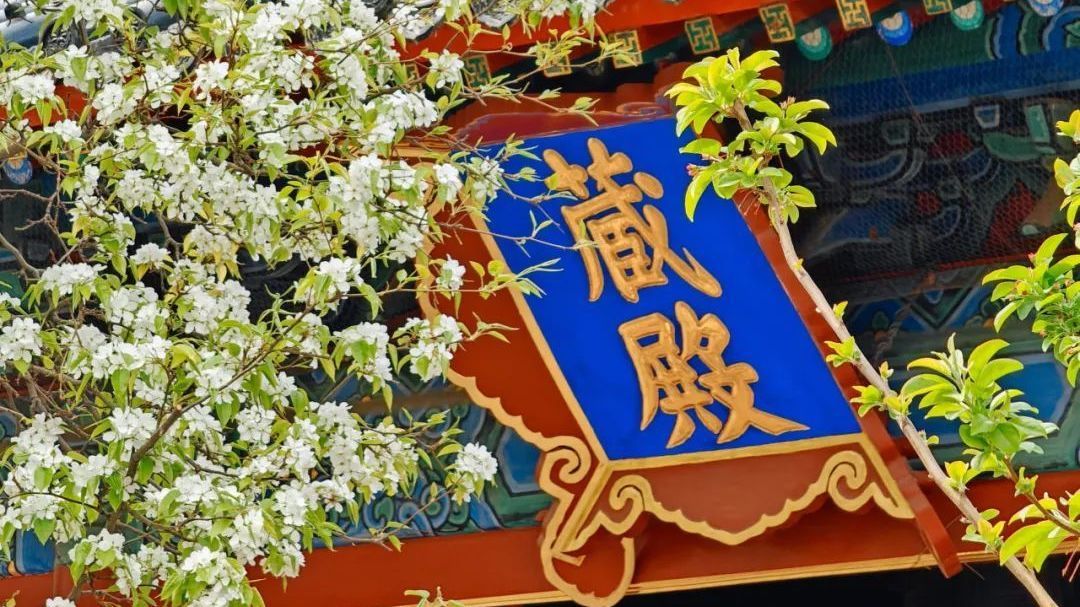 跑半马·游东城丨高楼上看庙宇,道观里品咖啡,打卡古今建筑 跑半马·游东城丨高楼上看庙宇,道观里品咖啡,打卡古今建筑