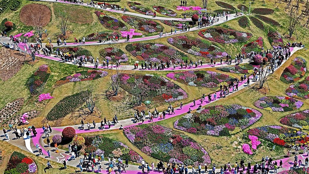 “五一”文旅市场观察：长线游、县域游、主题游热度高