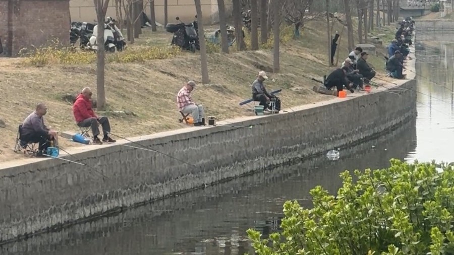 南苑湿地公园扎堆钓鱼 重要提醒：是污水处理厂的再生水，不能吃！