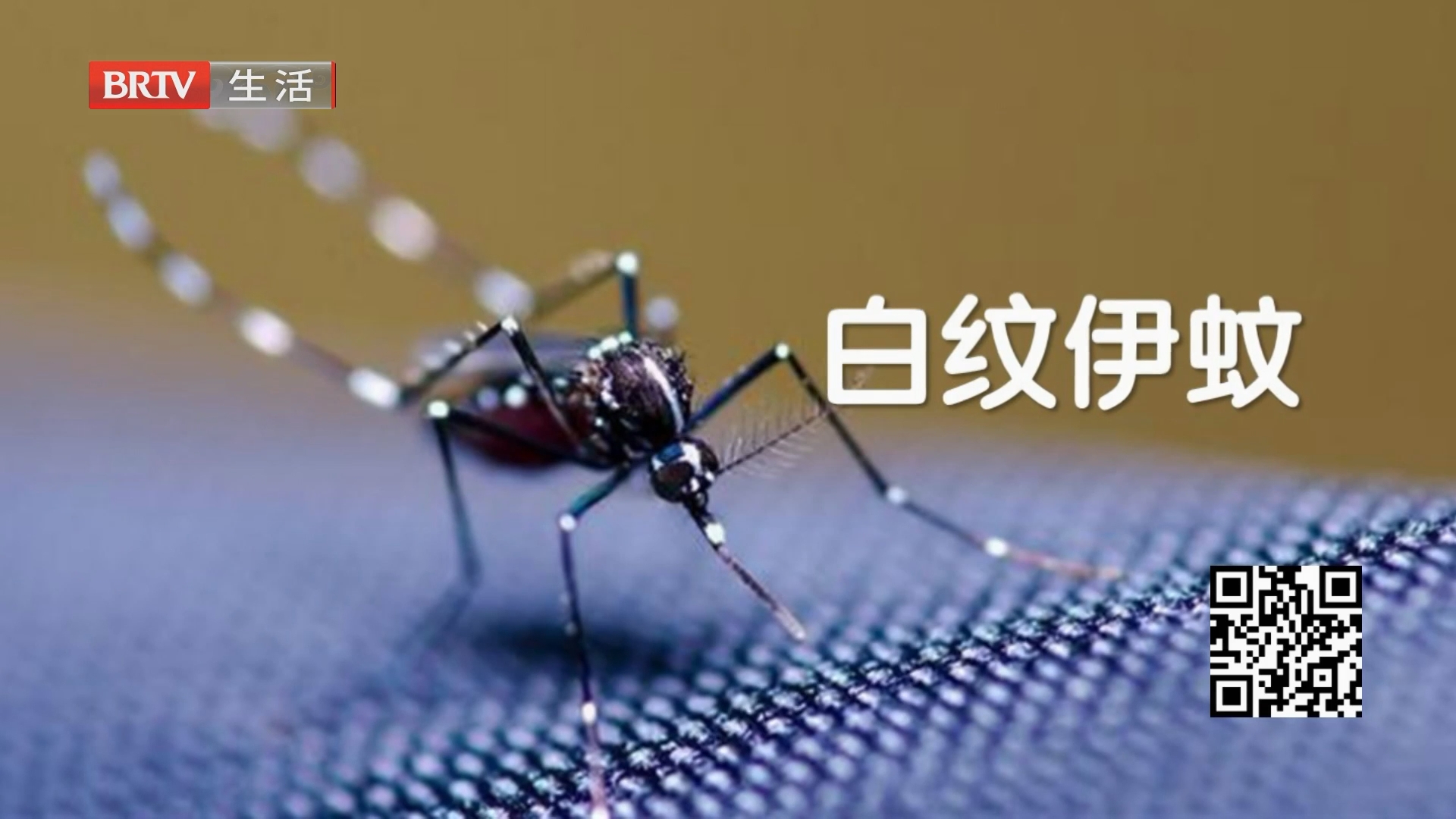 《生活这一刻》20260728