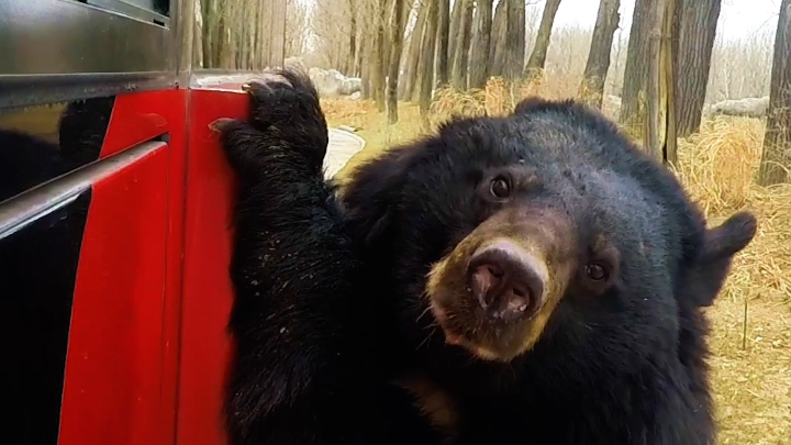 大兴微度假攻略焕新！