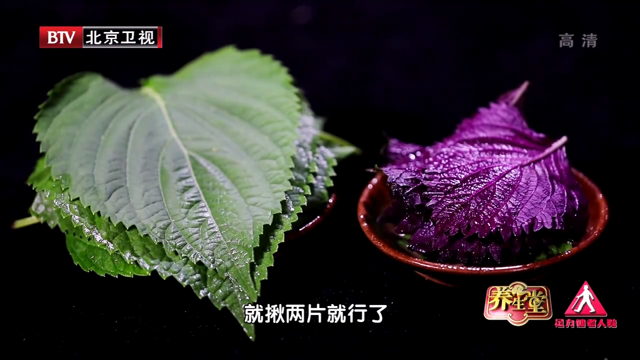 绿色和紫色的“紫苏叶”有什么区别?国家级名老中医教你用~ 绿色和紫色的“紫苏叶”有什么区别?国家级名老中医教你用~