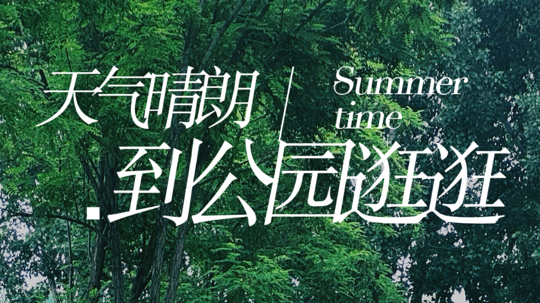 夏日放飞计划｜快来这个新公园过六一！