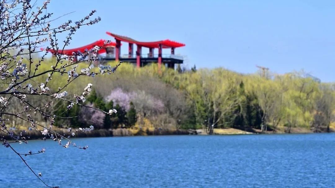 副中心赏花地图来啦！12条线路花式畅游！这场直播别错过——