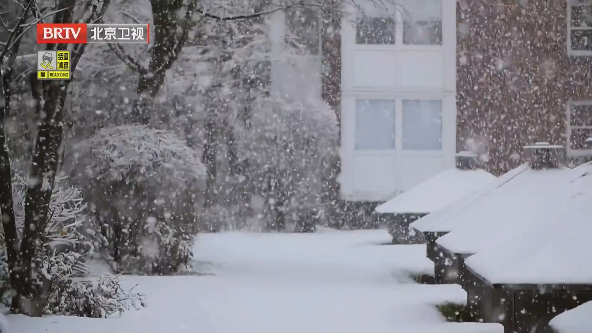 《向前一步》20260301“溜”走的温度