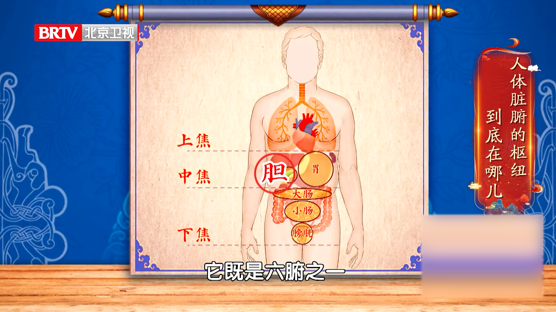 胆是人体脏腑的枢纽，“凡十一脏皆取决于胆”！