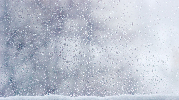 真冷！雨中告别假期！北京将有雨夹雪？添衣！
