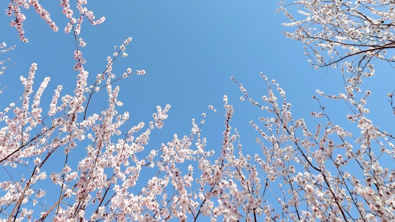 房山区渣土场变桃花海