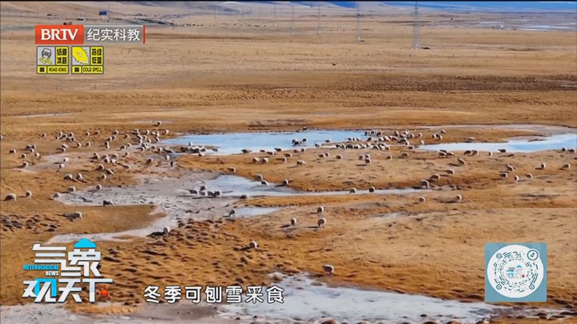 《气象观天下》20260117寒冬时节 鲜香与养生的双向奔赴