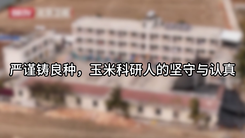 王荣焕科研人的坚守与认真 王荣焕科研人的坚守与认真
